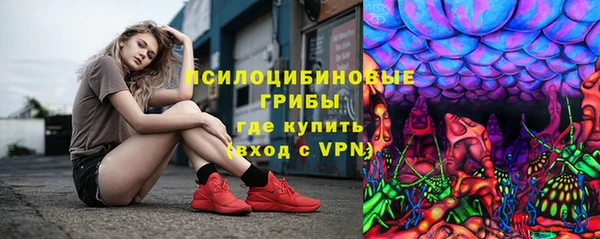 бошки Верея