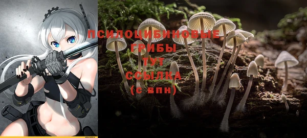бошки Верея