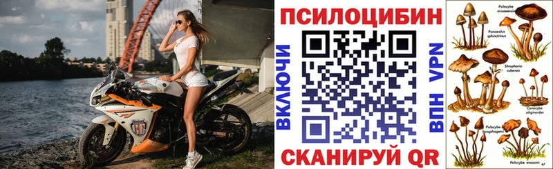 kraken зеркало Лосино-Петровский Псилоцибиновые грибы мухоморы